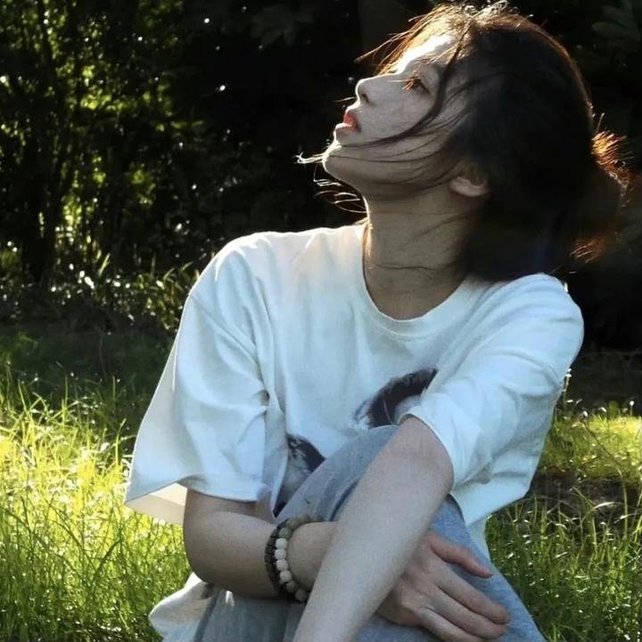 偷窃法则